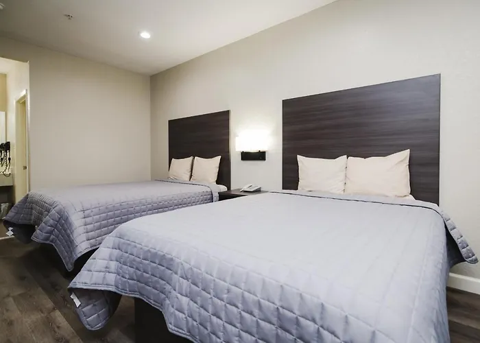 Winchester Inn And Suites Humble/Iah/North Houston